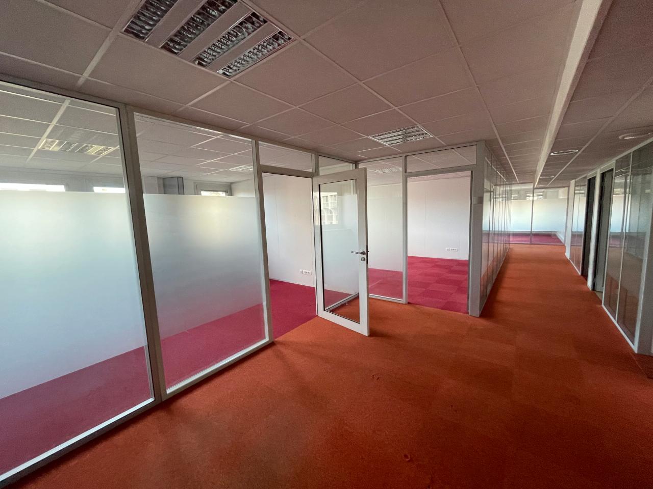 Bureau Toulouse 1427m² Location bureau Toulouse Haute-Garonne OLBUR2313730 13